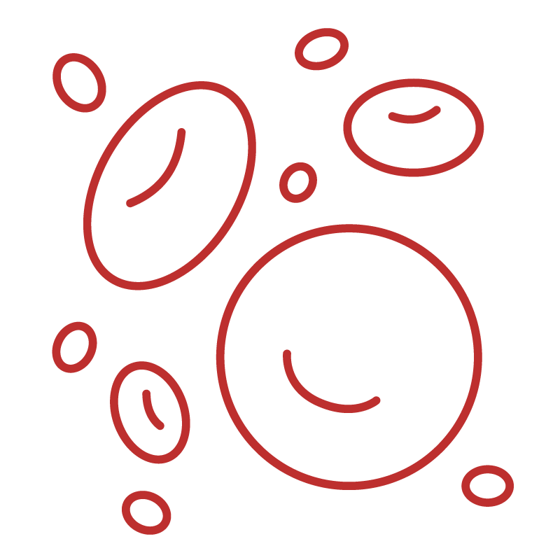 Cellular Regeneration Icon